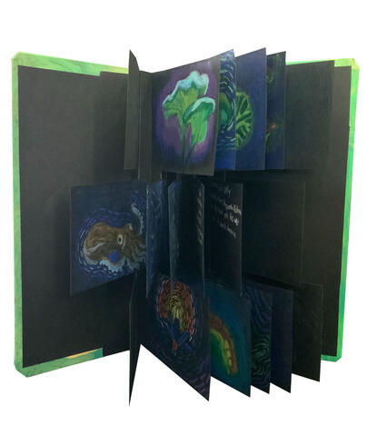 Book Of Bioluminescence Flag Book