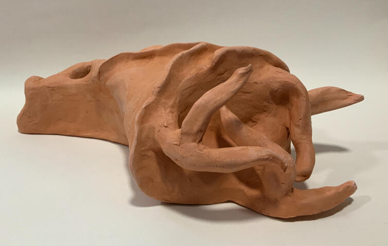 Biomorphic Abstraction