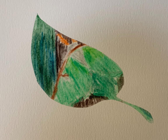 Hidden Moth Series Silkscreen Print